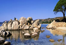 苟仲文被判死缓：政坛风云人物的人生转折